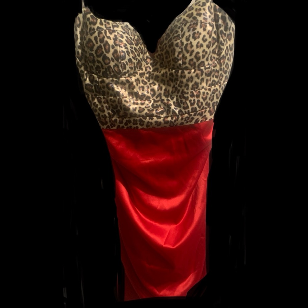 Angl cheetah bustier dress